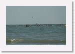 DSC07271_S * 5473 x 3648 * (4.31MB)
