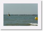 DSC07274_S * 5473 x 3648 * (4.13MB)