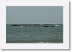 DSC07277_S * 5473 x 3648 * (4.28MB)