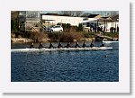 DSC05049_S * 5473 x 3648 * (8.45MB)