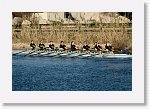 DSC05116_S * 5473 x 3648 * (8.3MB)