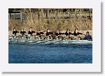 DSC05117_S * 5472 x 3648 * (7.31MB)