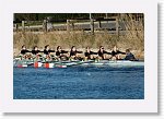 DSC05118_S * 5472 x 3648 * (7.14MB)