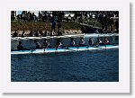 DSC05311_S * 5473 x 3648 * (7.19MB)