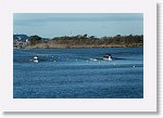 DSC05315_S * 5473 x 3648 * (5.96MB)