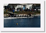 DSC05367_S * 5472 x 3648 * (7.41MB)