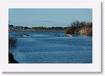 DSC05382_S * 5473 x 3648 * (6.52MB)