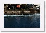 DSC05432_S * 5473 x 3648 * (7.24MB)