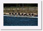DSC05589_S * 5472 x 3648 * (7.41MB)