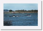 DSC05631_S * 5472 x 3648 * (5.51MB)
