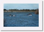 DSC05632_S * 5472 x 3648 * (6.1MB)
