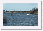 DSC05915_S * 5473 x 3648 * (6.02MB)