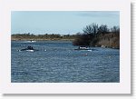 DSC05916_S * 5473 x 3648 * (6.16MB)