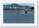 DSC06018_S * 5473 x 3648 * (5.52MB)