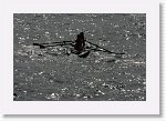 IMGP9670_S * 6018 x 4000 * (6.58MB)