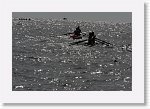 IMGP9674_S * 6018 x 4000 * (7.28MB)