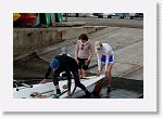 DSC02703_S * 5472 x 3648 * (6.31MB)