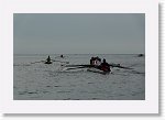 DSC02728_S * 5472 x 3648 * (4.6MB)