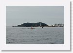DSC02731_S * 5473 x 3648 * (3.76MB)