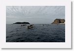 DSC02828_S * 5766 x 3648 * (4.93MB)