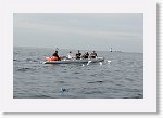 DSC02869_S * 5472 x 3648 * (3.89MB)