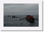 DSC02939_S * 5472 x 3648 * (4.72MB)