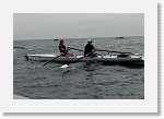 DSC02952_S * 5472 x 3648 * (4.99MB)