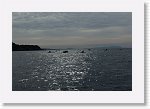 DSC03018_S * 5472 x 3648 * (5.78MB)