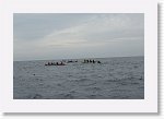 DSC03021_S * 5472 x 3648 * (3.84MB)