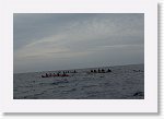 DSC03023_S * 5472 x 3648 * (4.37MB)
