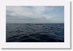 DSC03026_S * 5769 x 3648 * (4.87MB)