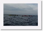 DSC03027_S * 5473 x 3648 * (4.83MB)