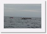 DSC03037_S * 5473 x 3648 * (4.55MB)