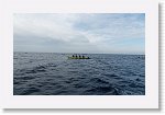 DSC03038_S * 5769 x 3648 * (4.99MB)