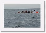 DSC03040_S * 5472 x 3648 * (4.32MB)