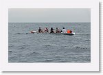 DSC03041_S * 5472 x 3648 * (4.57MB)