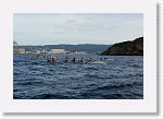 DSC03063_S * 5472 x 3648 * (5.2MB)