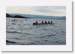 DSC03071_S * 5472 x 3648 * (5.19MB)