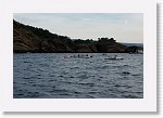 DSC03080_S * 5472 x 3648 * (5.38MB)