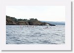 DSC03082_S * 5472 x 3648 * (3.17MB)