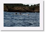 DSC03098_S * 5473 x 3648 * (6.59MB)