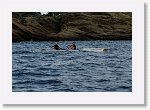 DSC03099_S * 5472 x 3650 * (6.51MB)