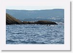 DSC03107_S * 5472 x 3648 * (5.38MB)