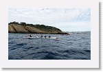 DSC03119_S * 5769 x 3648 * (5.73MB)