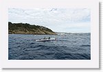 DSC03130_S * 5743 x 3648 * (5.61MB)
