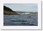 DSC03135_S * 5472 x 3648 * (4.64MB)