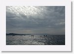 DSC03186_S * 5472 x 3648 * (4.43MB)