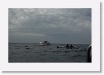 DSC03188_S * 5472 x 3648 * (4.54MB)