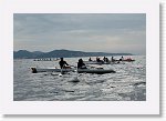 DSC03194_S * 5473 x 3648 * (4.92MB)