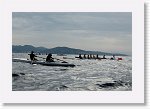 DSC03195_S * 5473 x 3648 * (4.48MB)